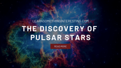 The Discovery of Pulsar Stars