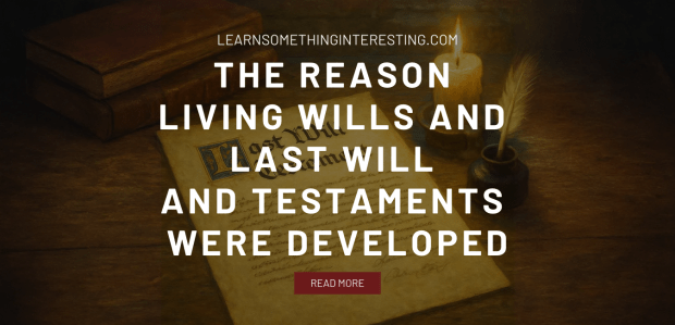 The Reason Living Wills and Last Will and Testaments Were Developed The Reason Living Wills and Last Will and Testaments Were Developed