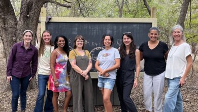 The Small Schools of South Austin Educational Fair – Alt Ed Austin