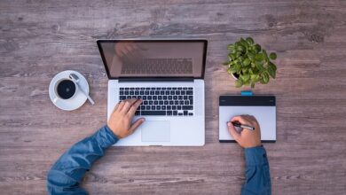 Why Online Degrees are Better for Students Seeking More Specialized Career Paths – EDTECH 4 BEGINNERS